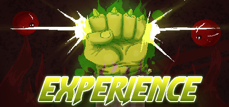 Experience Logo