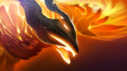 A picture of phoenix