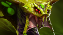 A picture of venomancer