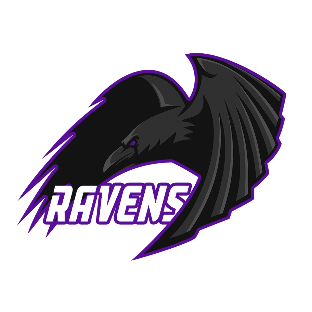 Lava esports. Team Ravens CB Team. International 2022 logo Dota.