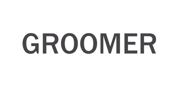 Groomer Steam capsule image