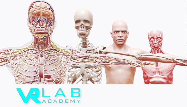 VRLab Academy Anatomy VR Steam capsule image