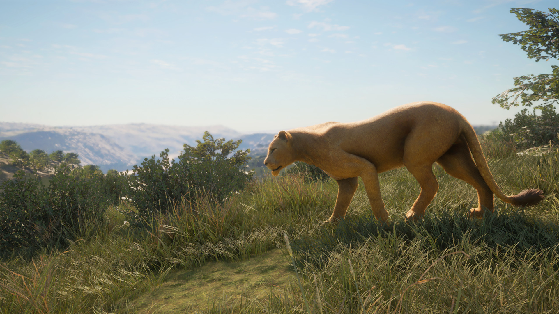 theHunter Call of the Wild™ New Species 2019 (App 1011280) · SteamDB