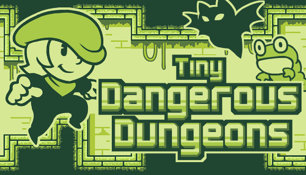 Tiny Dangerous Dungeons Steam capsule image
