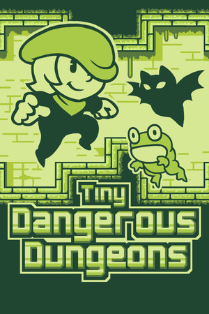 Tiny Dangerous Dungeons — обложка