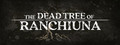 The Dead Tree of Ranchiuna