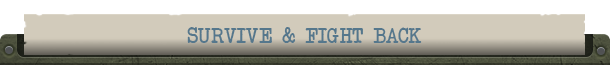 Aircraft Carrier Survival
