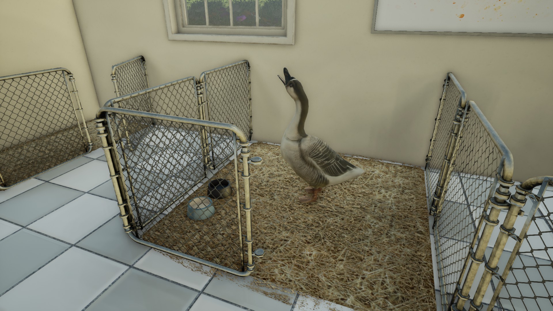 Animal Doctor on Steam Animal Doctor on Steam