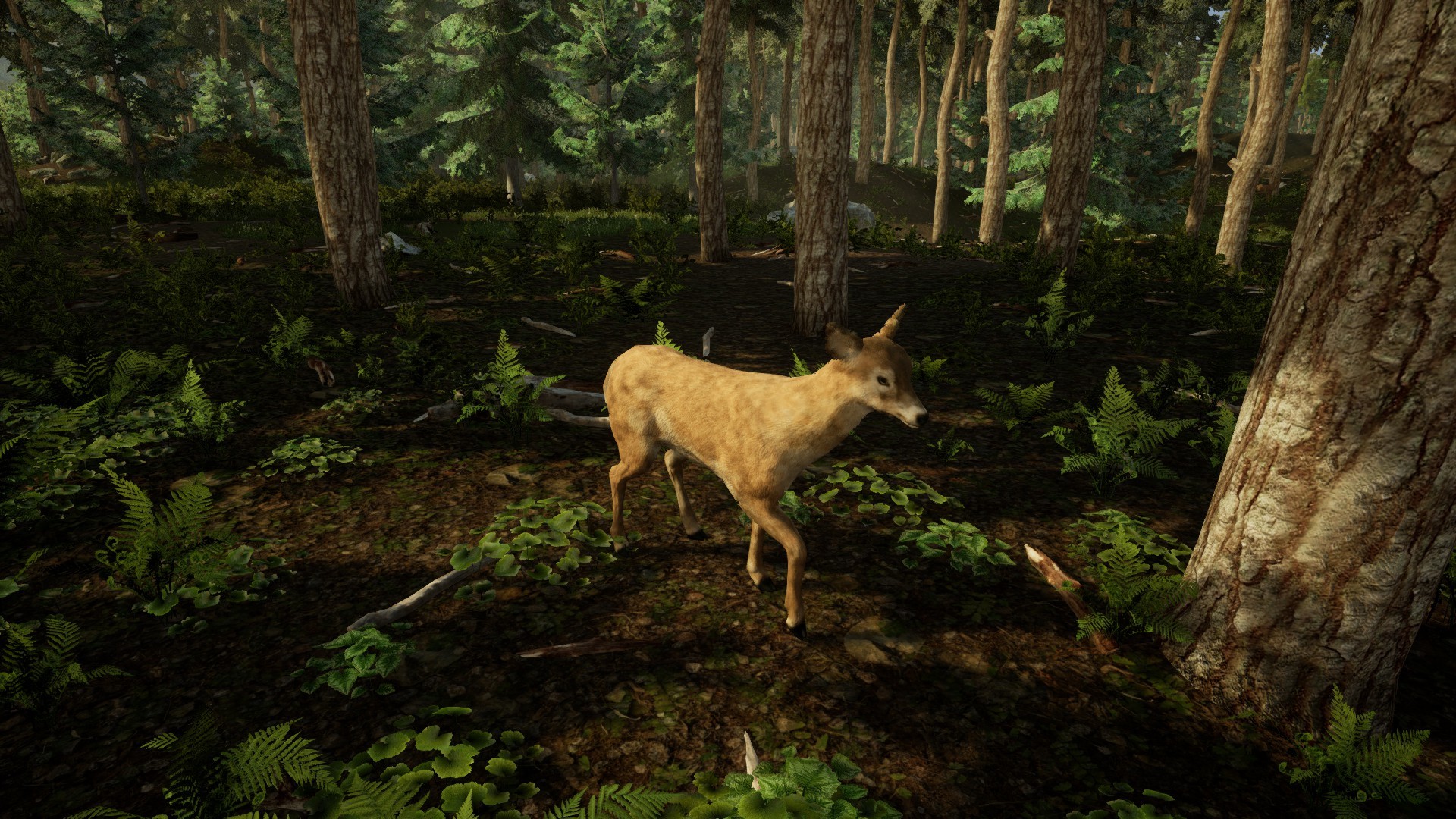 Animal Doctor on Steam Animal Doctor on Steam