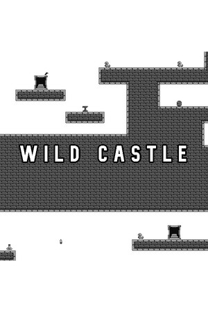 Wild Castle cover art