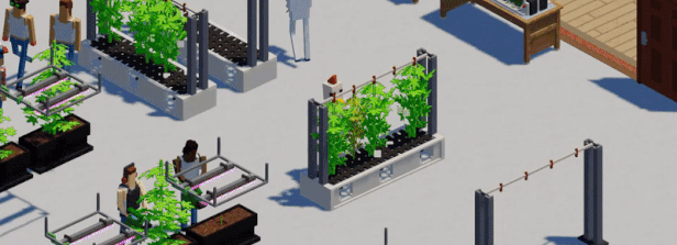 Different_Drugs_Gif.gif