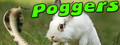 Poggers
