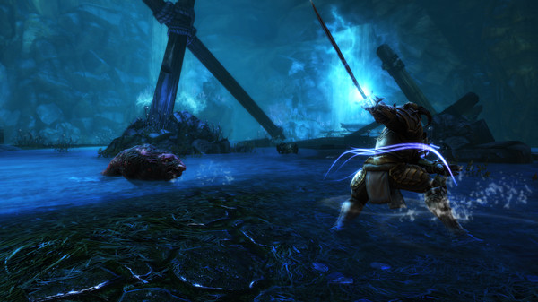 图片[5]-阿玛拉王国：惩罚重制版/Kingdoms of Amalur: Re-Reckoning-ACG宝库