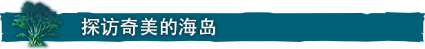 海之呼唤/Call of the Sea（V1.2.513.0）