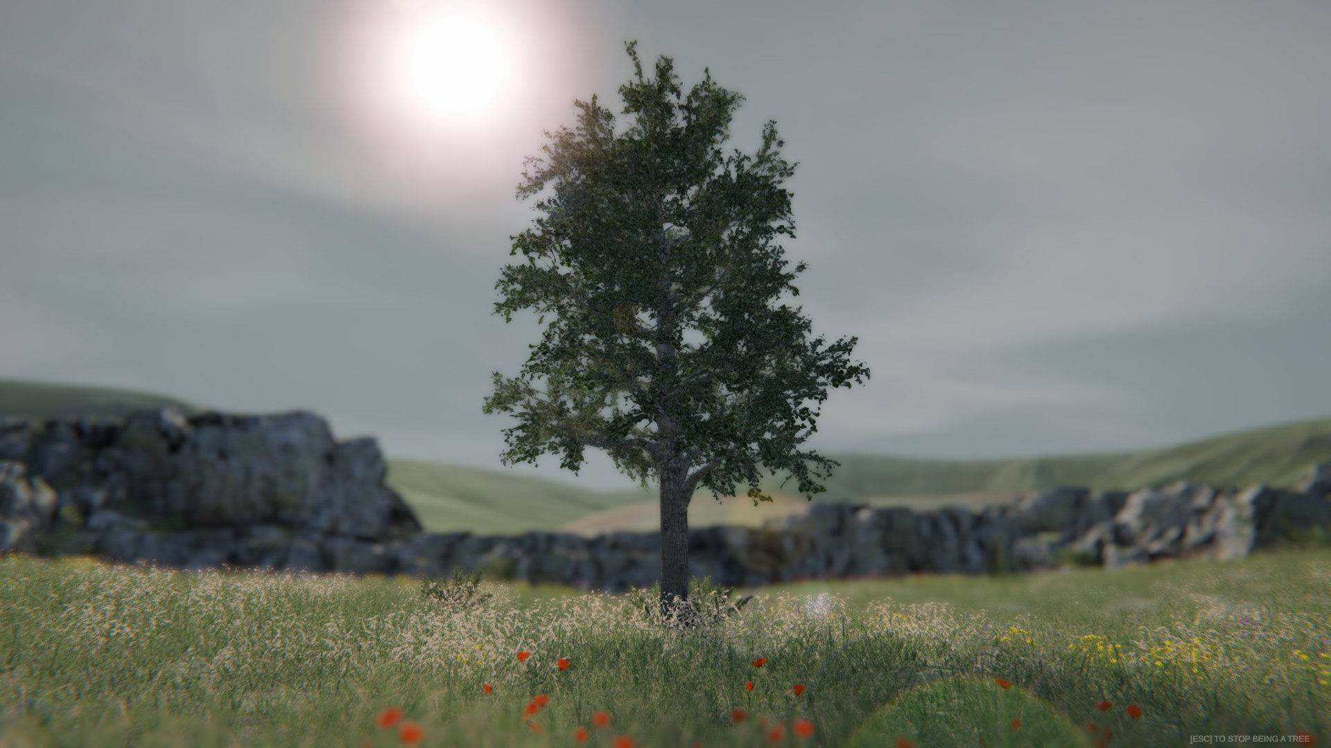 Tree Simulator 2020 on Steam