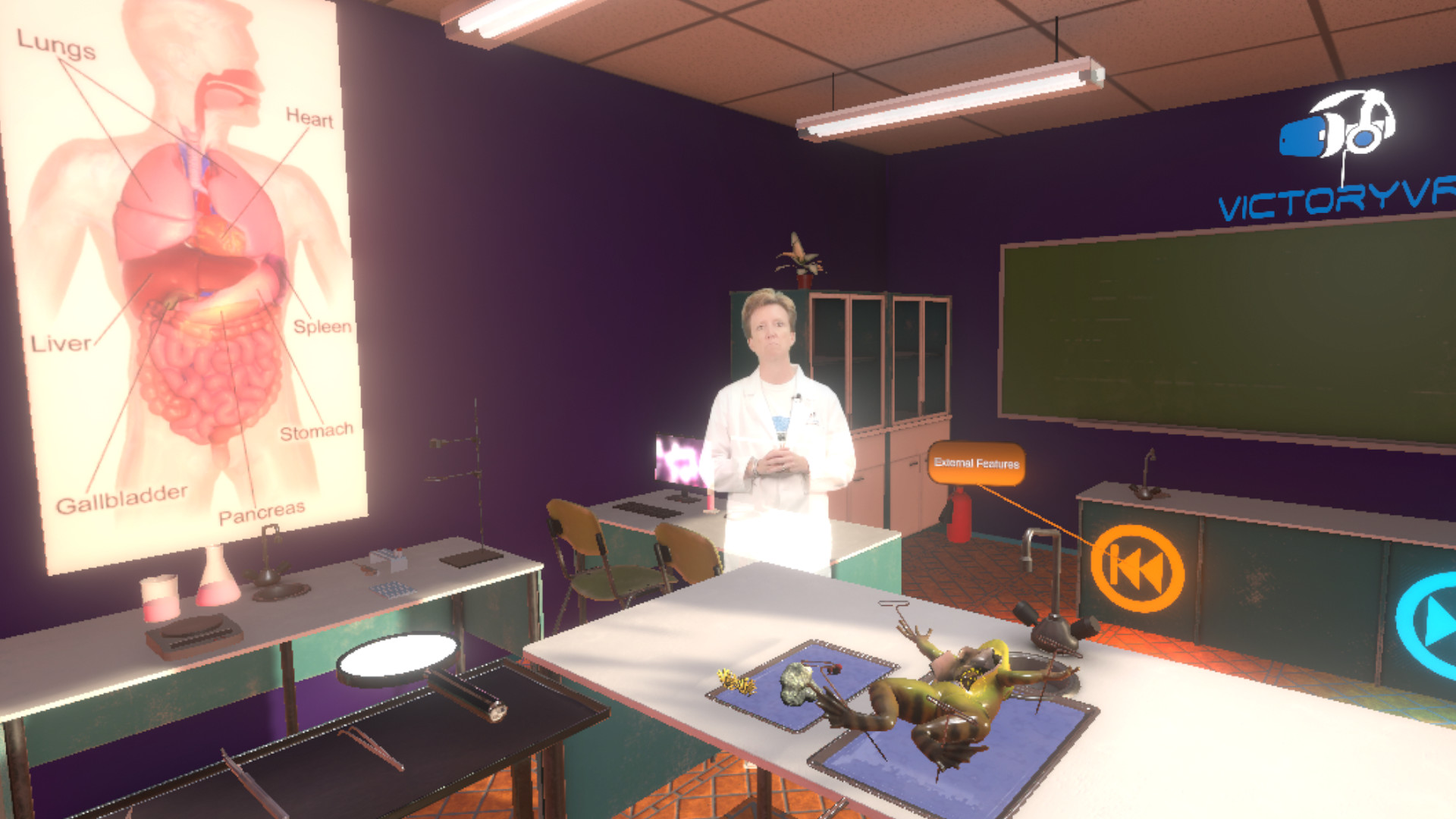 frog dissection lab game frog dissection lab game