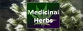 Medicinal Herbs - Cannabis Grow Simulator