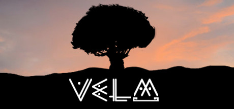 VeLM Cover Image