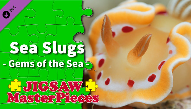 Jigsaw Masterpieces : Sea Slugs - Gems of the Sea - Steam capsule image