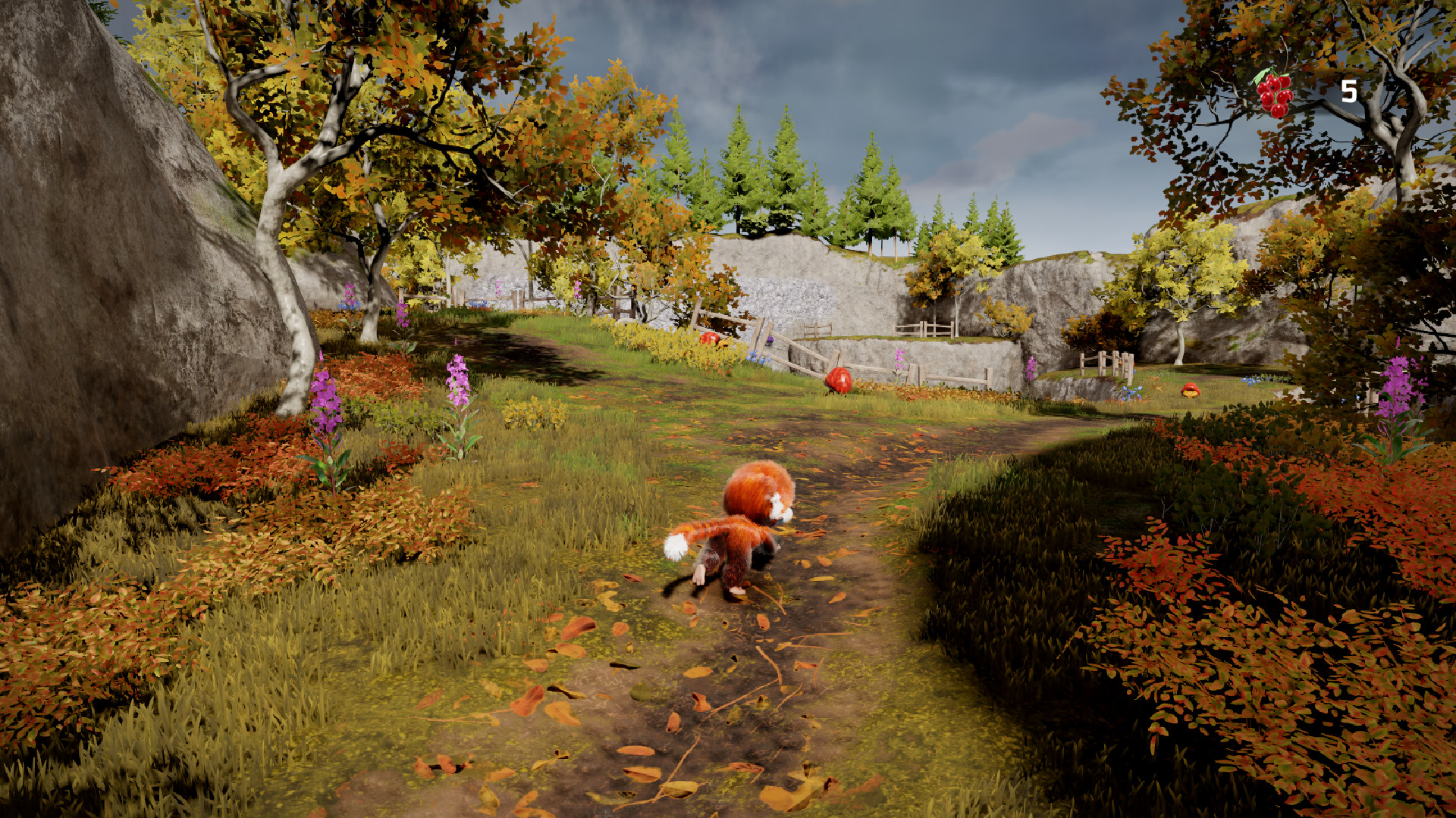 《狨猴(Tamarin)》插图3 《狨猴(Tamarin)》插图3