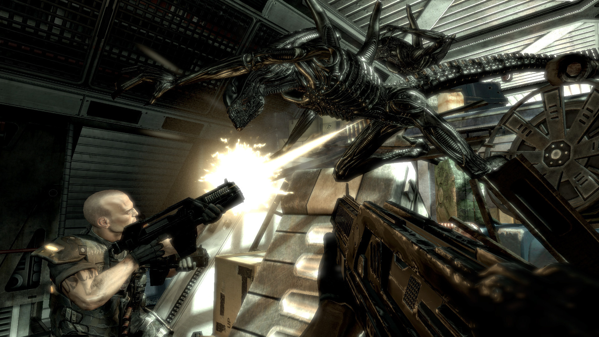 Alien vs Predator Game