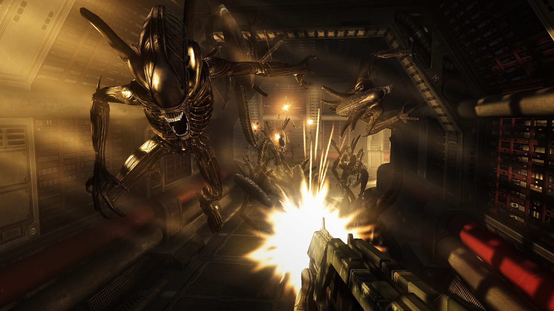 Aliens vs. Predator™ on Steam