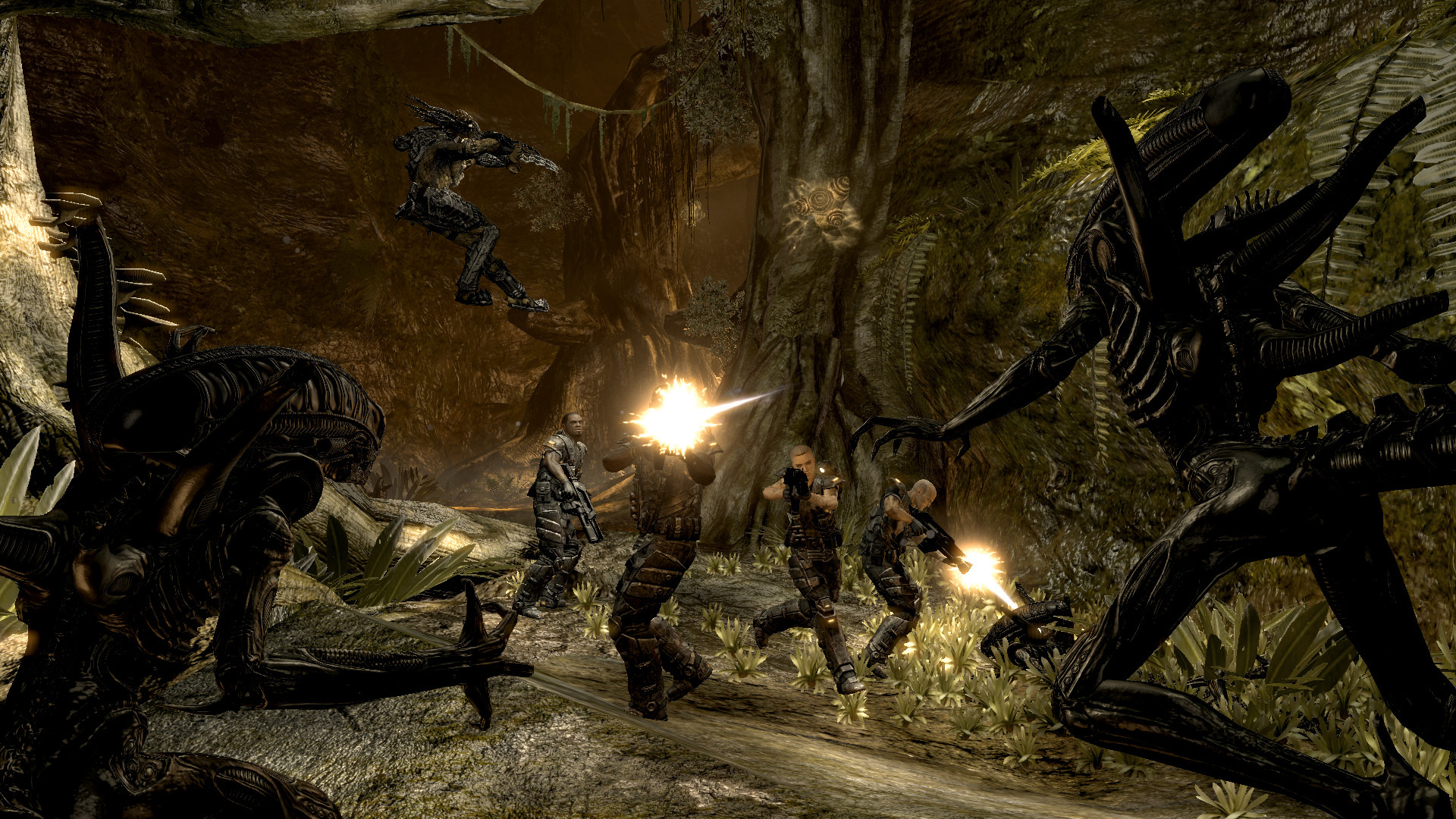  Aliens Vs. Predator : Video Games