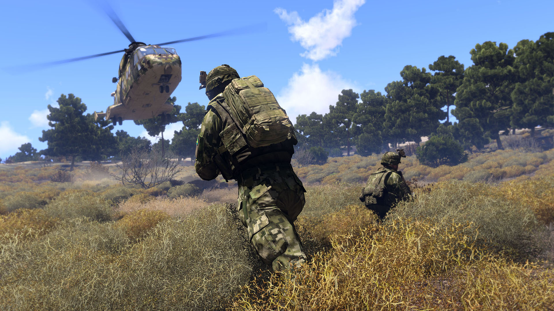 Screenshot from the game Arma 3
