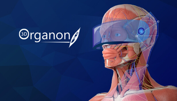 3d Organon Vr Anatomy Bei Steam