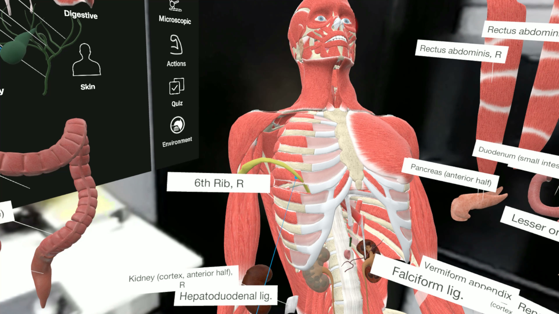 best 3d anatomy program software