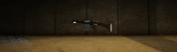 weapon__showcase.gif?t=1715515678