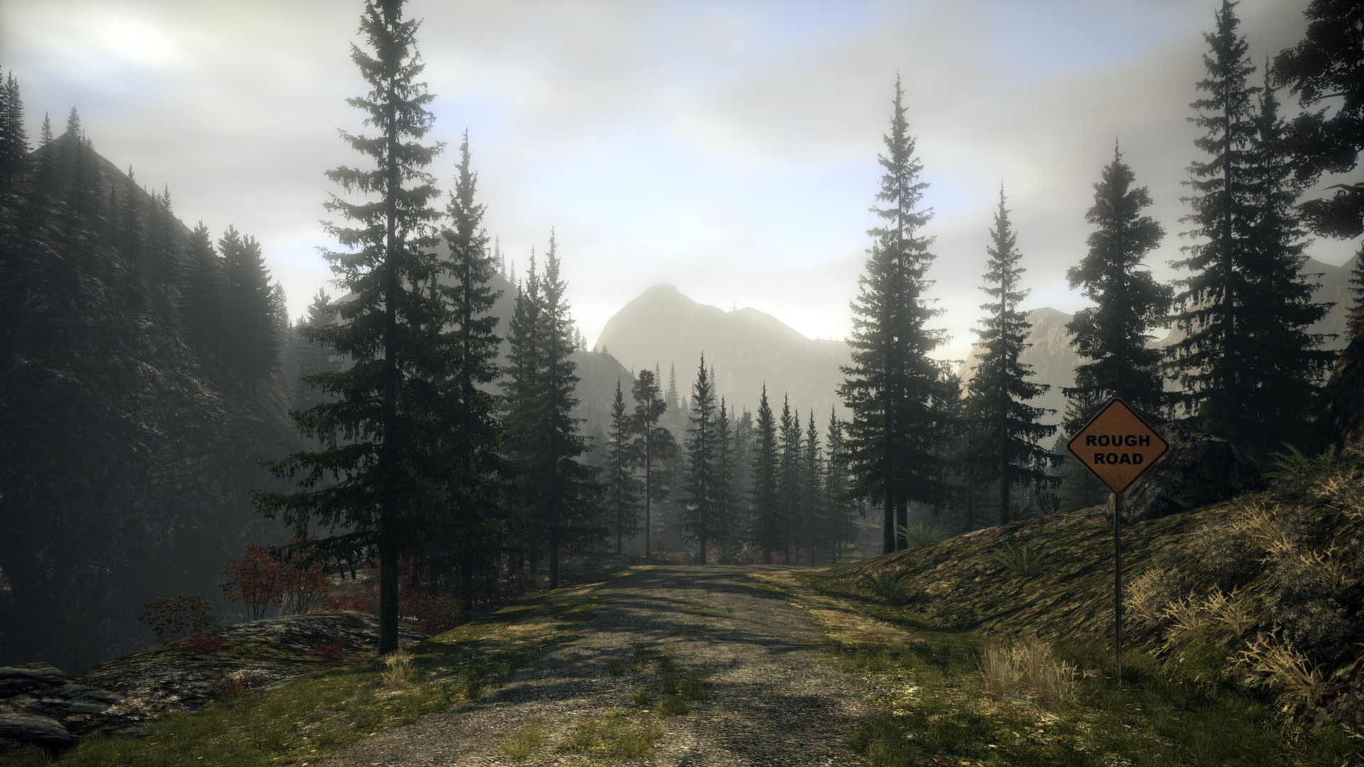 Alan Wake, PC Steam Game