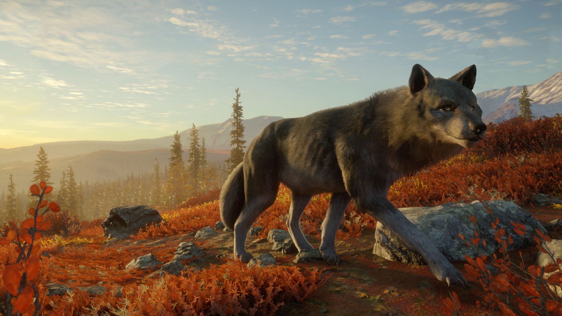 Thehunter Call Of The Wild Yukon Valley Appid Steamdb