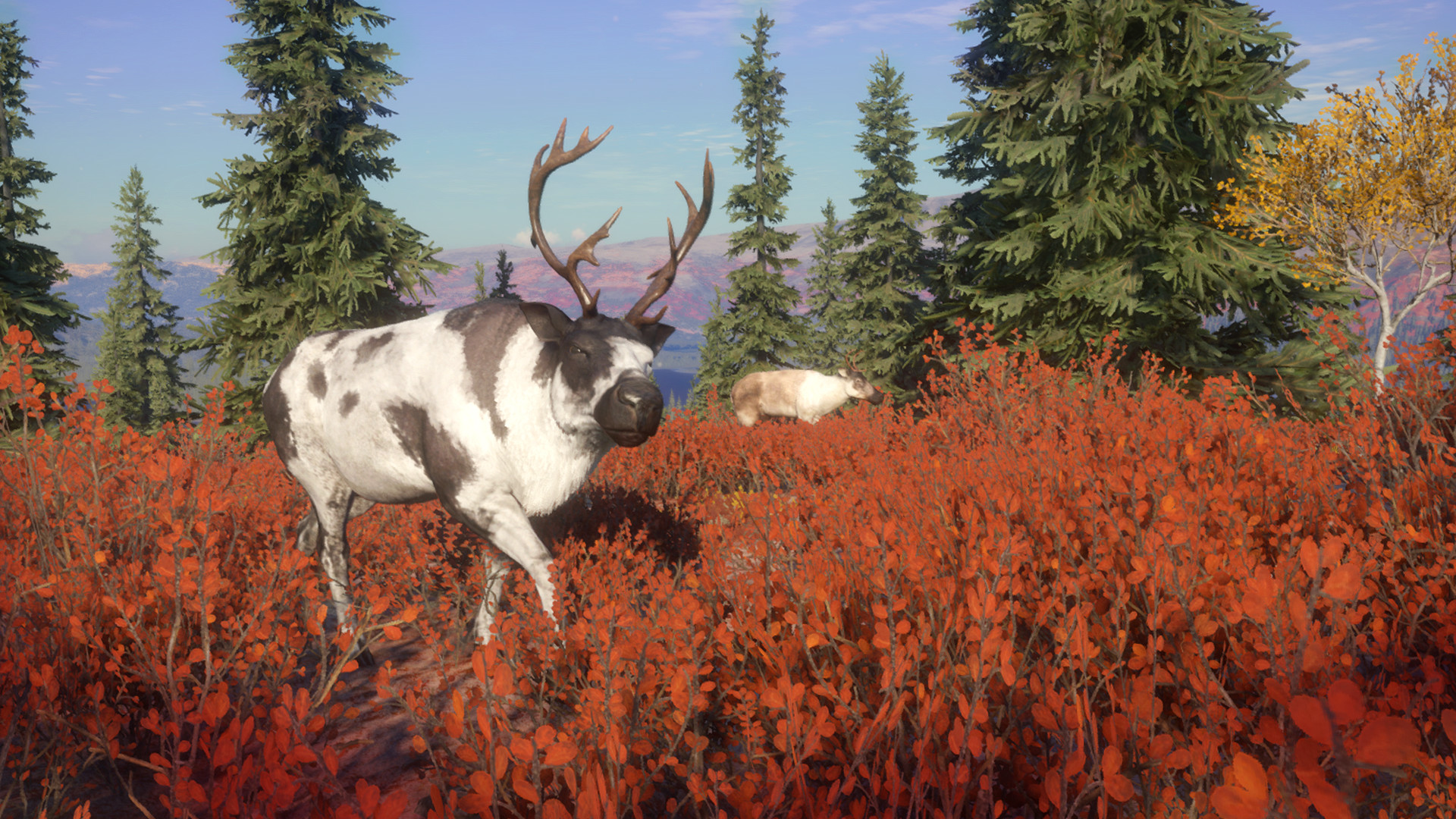 Save 63 On Thehunter Call Of The Wild Yukon Valley On Steam