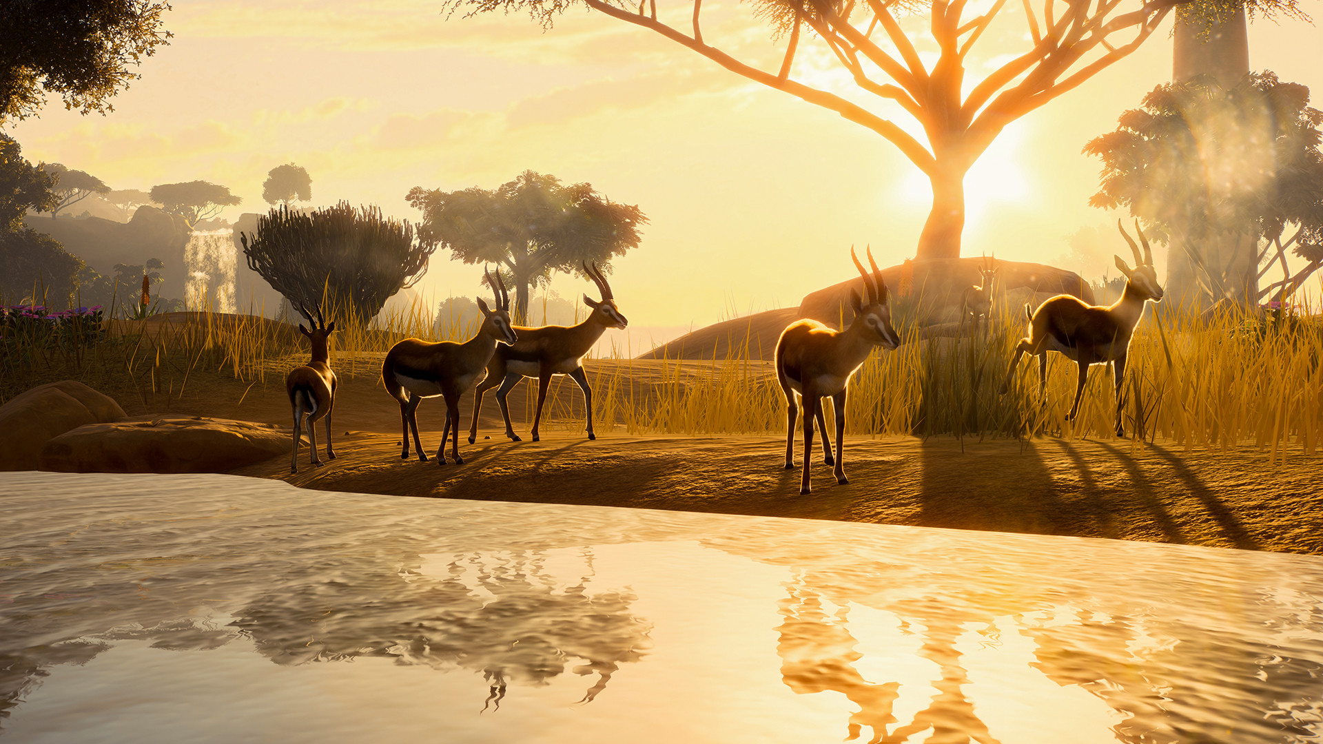 download planet zoo steam for free download planet zoo steam for free