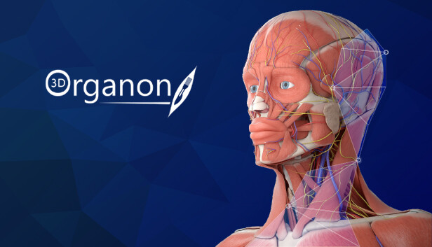 3D Organon Anatomy on Steam