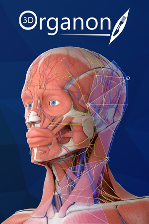 3D Organon Anatomy | Enterprise Edition