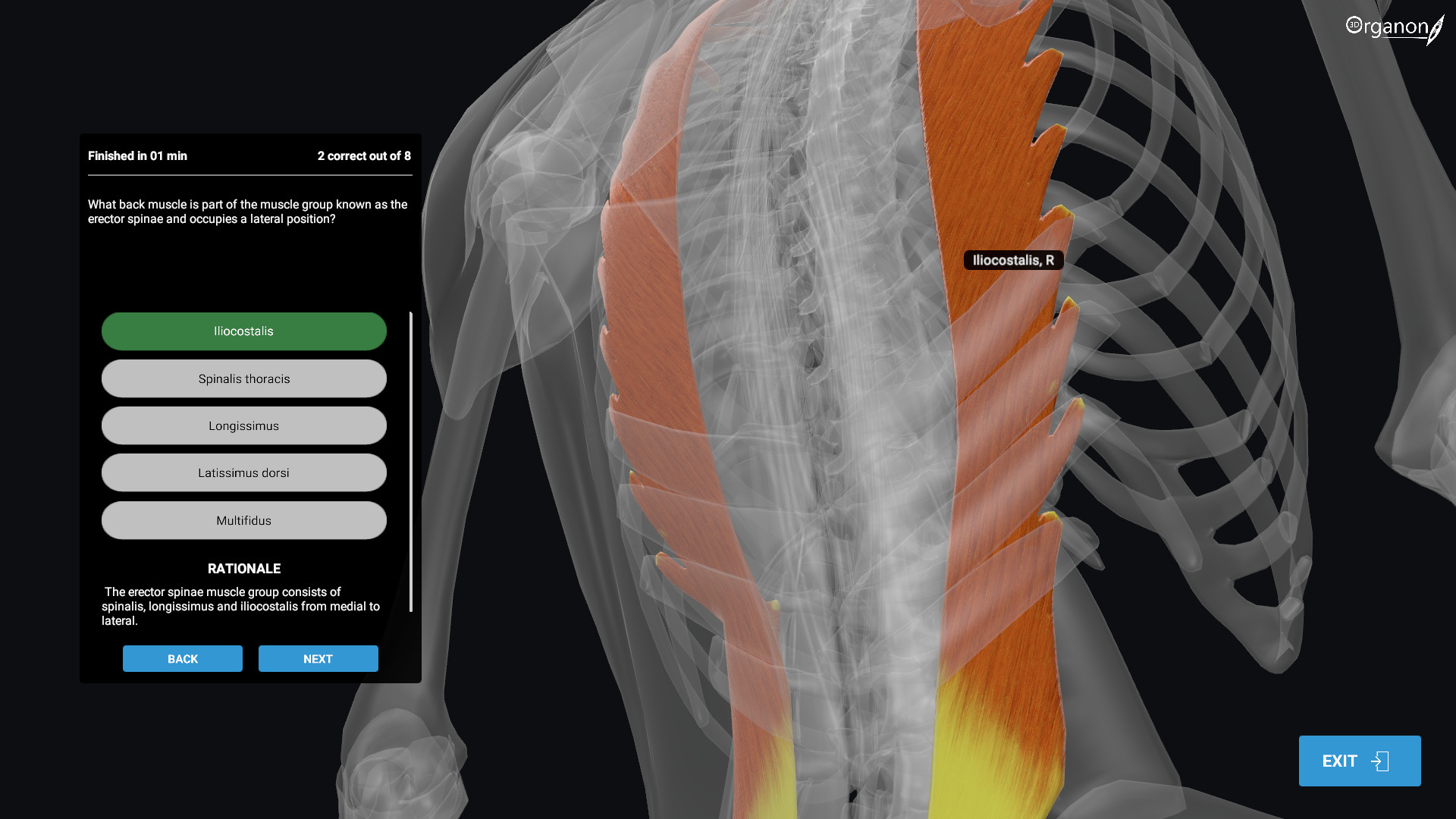 3D Organon Anatomy trên Steam 3D Organon Anatomy trên Steam