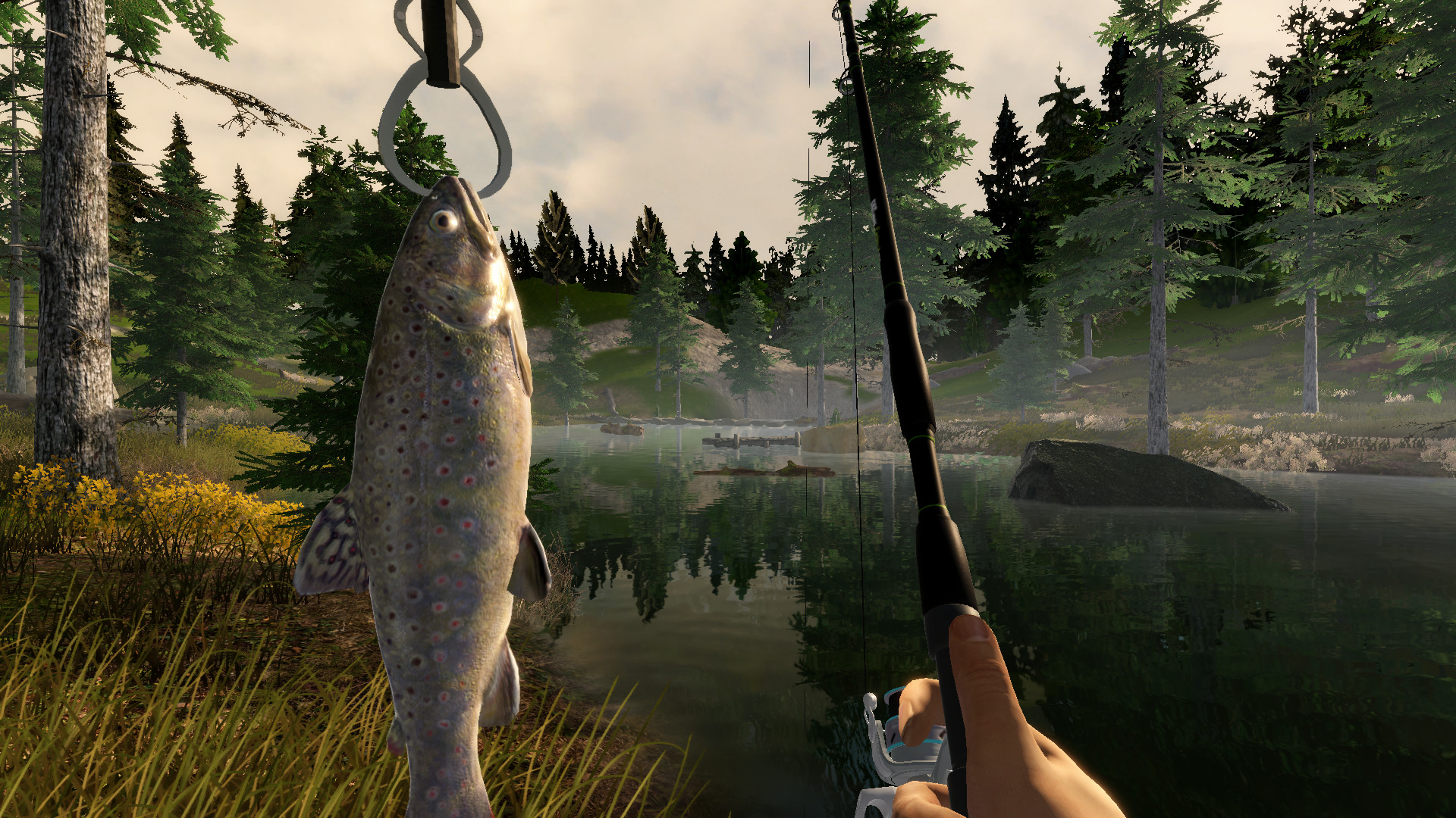 The Best Fishing Games Of All Time, Ranked