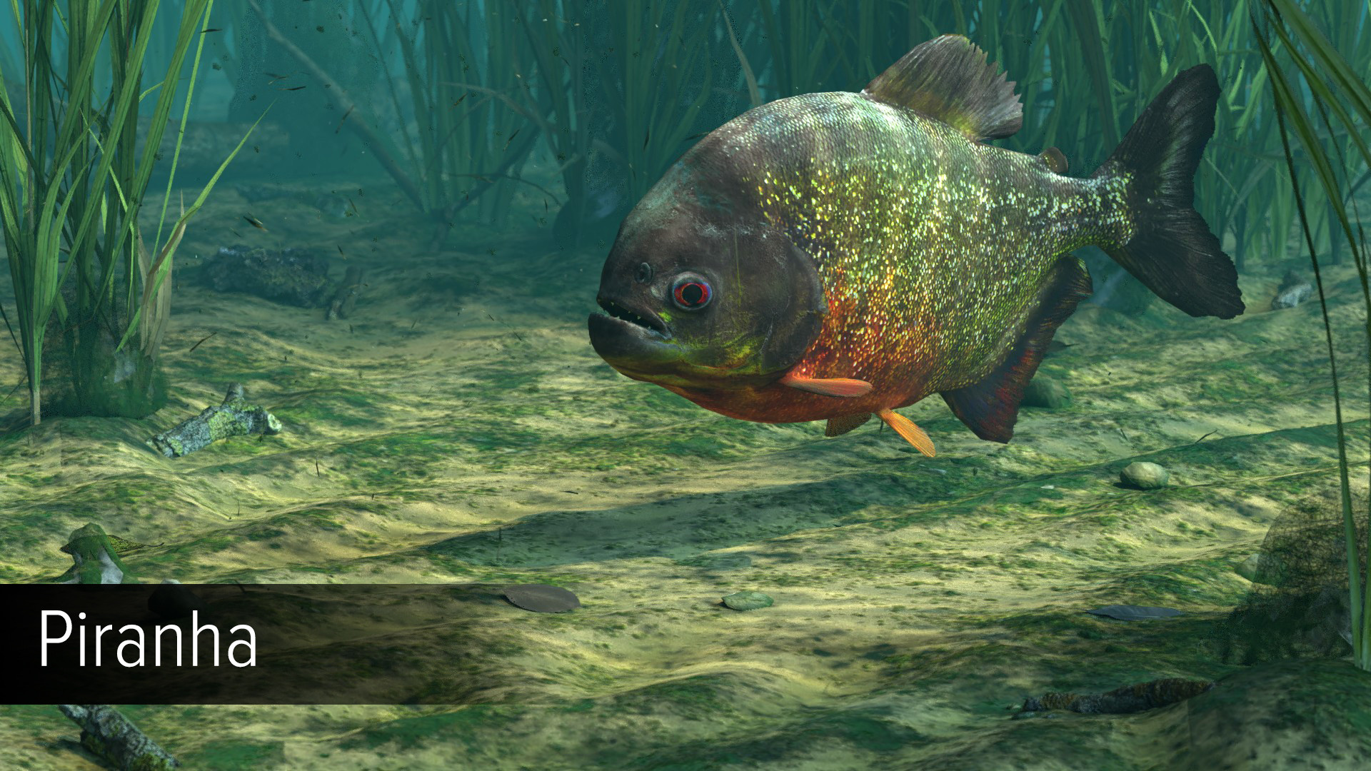 Save 50% on Ultimate Fishing Simulator - Amazon River DLC on Steam