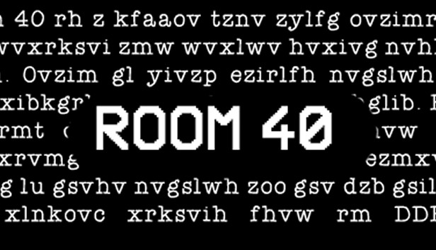 Room 40 Steam capsule image