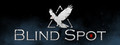 Blind Spot VR / 盲点 VR