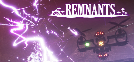 Remnants Cover Image