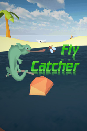FlyCatcher cover art