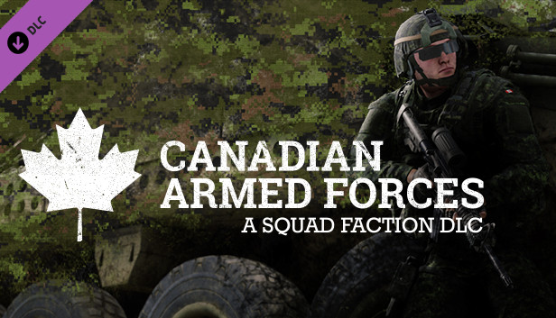 Canadian Armed Forces Steam capsule image