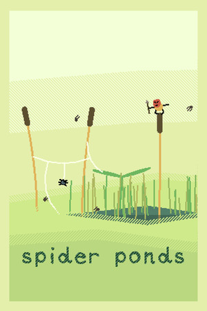 Sokpop S02: spider ponds