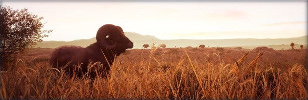模拟狩猎2/Hunting Simulator 2（V1.0.0.311.66949+集成护林员生活DLCs）