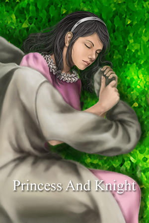 Princess and Knight cover art