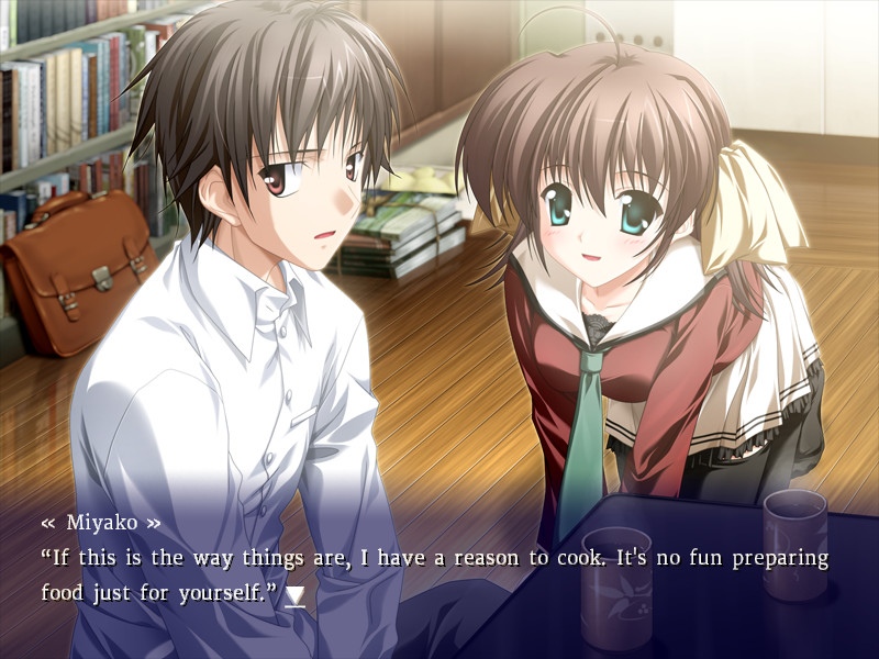 Ef The First Tale All Ages On Steam