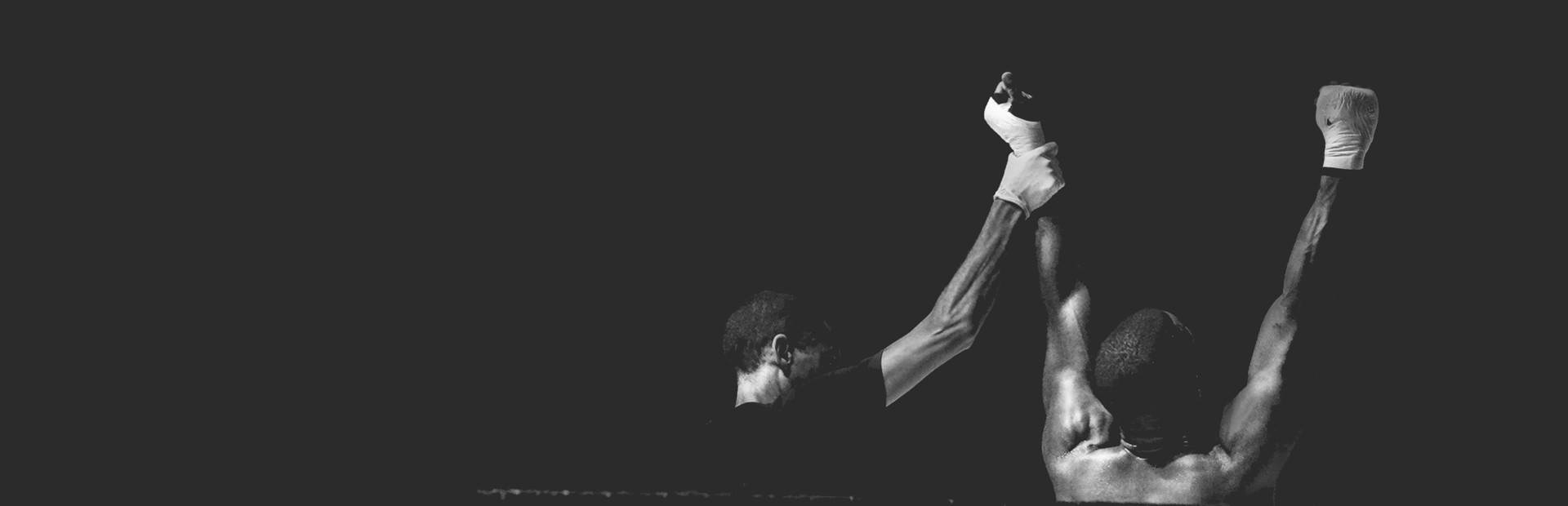 Art Of Boxing